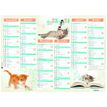 Calendrier Chatons - 7 mois par face - 40,5 x 55 cm - Oberthur