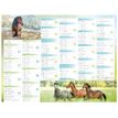 3664447138565-Calendrier Cheval - 7 mois par face - 32 x 42 cm - Oberthur-P_405132159_1-0