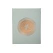 Exacompta Ellipse - Livre d'or - 22 x 27 cm - 100 pages - vert