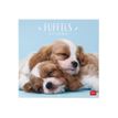 8051128758764-Legami - Calendrier mensuel - 30 x 29 cm - chiots-P_405143029_2-0