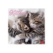 8051128758771-Legami - Calendrier mensuel - 30 x 29 cm - chatons-P_405143030_1-0