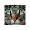 8051128758795-Legami - Calendrier mensuel - 30 x 29 cm - chats-P_405143032_1-0