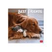 8051128758801-Legami - Calendrier mensuel - 30 x 29 cm - best friends-P_405143033_1-0