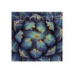 8051128758924-Legami - Calendrier mensuel 2024 - 30 x 29 cm - succulents-P_405143045_2-0