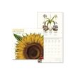 8051128759259-Legami - Calendrier mensuel 2024 - 30 x 29 cm - herbier-P_405143078_2-0