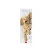 8051128759358-Legami - Calendrier mensuel 2024 - 16 x 49 cm - chiots-P_405143088_1-0