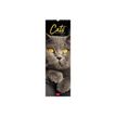 8051128759372-Legami - Calendrier mensuel 2024 - 16 x 49 cm - chats-P_405143090_1-0
