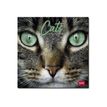 8051128759839-Legami - Calendrier mensuel 2024 - 18 x 18 cm - chats -P_405143136_1-0