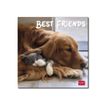 8051128759846-Legami - Calendrier mensuel 2024 - 18 x 18 cm - meilleurs amis -P_405143137_1-0