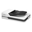8715946605630-Epson WorkForce DS-1630 (B11B239401) - scanner de documents A4 - 1200 dpi x 1200 dpi - U-P_405143584_14-16