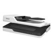 8715946605630-Epson WorkForce DS-1630 (B11B239401) - scanner de documents A4 - 1200 dpi x 1200 dpi - U-P_405143584_16-12
