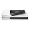 8715946605630-Epson WorkForce DS-1630 (B11B239401) - scanner de documents A4 - 1200 dpi x 1200 dpi - U-P_405143584_18-10