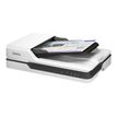 8715946605630-Epson WorkForce DS-1630 (B11B239401) - scanner de documents A4 - 1200 dpi x 1200 dpi - U-P_405143584_21-15