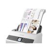 8715946660813-Epson WorkForce DS-870 - scanner de documents - 600 dpi x 600 dpi A4 - USB 3.0-P_405143634_12-7