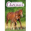 3127030047236-Agenda Chevaux - 1 jour par page-P_405143693_1-0