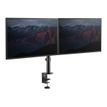 0065030887533-StarTech.com - Bras support pour 2 écrans jusqu'à 32" - fixation pince - noir-P_405143838_3-6
