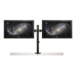 0065030884150-StarTech.com - Bras support pour 2 écrans jusqu'à 32" - fixation pince - noir-P_405143840_7-4