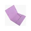 3130630558903-Exacompta Ellipse - Chemise à 3 rabats - A4 - pour 250 feuilles - timbre en or rose - dis-P_405143892_4-5