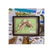 9782092789544-Mon coffret Montessori des dinosaures-P_405143950_3-2
