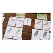 9782092788387-Mon coffret Montessori des oiseaux-P_405143990_4-3
