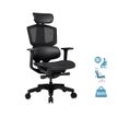 4710483774089-Fauteuil gamer ARGO ONE BLACK- accoudoirs réglables - appuie-tête intégré - noir-P_405144744_1-0