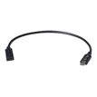8595611702518-i-Tec - Câble d'extension USB - USB-C (F) pour USB-C (M) - 30 cm-P_405145486_1-0