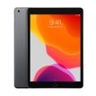 3700892059854-Apple iPad Wi-Fi - 7e gén - tablette 10,2"- 32 Go - gris sidéral-P_405147339_2-0