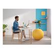 4002432129577-Leitz Ergo - Coussin de siège ergonomique - Soulage la pression et améliore la posture -P_405148754_3-10