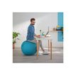 4002432129539-Leitz Ergo Cosy Active - Ballon d'assise ergonomique - améliore la posture - diamètre 6-P_405148764_2-11