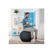 4002432129546-Leitz Ergo Cosy Active - Ballon d'assise ergonomique - améliore la posture - diamètre 65-P_405148765_1-3