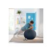 4002432129546-Leitz Ergo Cosy Active - Ballon d'assise ergonomique - améliore la posture - diamètre 65-P_405148765_3-5