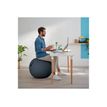 4002432129546-Leitz Ergo Cosy Active - Ballon d'assise ergonomique - améliore la posture - diamètre 65-P_405148765_5-7