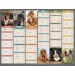 3592930026764-Calendrier bancaire illustré année civile BOUCHUT "Humour chien Medium" 32 x 42 cm Pefc 70 %--0