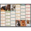 3592930026764-Calendrier bancaire illustré année civile BOUCHUT "Humour chien Medium" 32 x 42 cm Pefc 70 %--1
