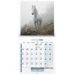 3592930027037-Calendrier illustré BOUCHUT 30 x 30 cm CHEVAL Pefc 70 %--1