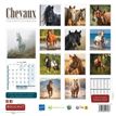 3592930027037-Calendrier illustré BOUCHUT 30 x 30 cm CHEVAL Pefc 70 %--2
