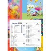3664447162041-Calendrier mensuel en papier sur plaque nova - 18 x 26 cm - différents modèles disponibl-P_405149424_4-3