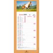 3664447162157-Calendrier mensuel en papier sur plaque illustrée - 16 x 33 cm - différents modèles dis-P_405149441_8-7