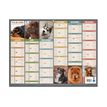 3592930028904-Calendrier bancaire illustré année civile BOUCHUT "Humour chien Medium" 32 x 42 cm Pefc -P_405149828_1-2