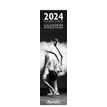 3494150149103-Calendrier marque-pages - danse - 4 x 16 cm - Aquarupella-P_405150131_1-0