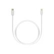 8718858430192-Grab 'n Go - Câble Lightning - Lightning mâle pour USB-C mâle - blanc-P_405154940_1-0