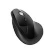 5028252605960-Kensington Pro Fit Ergo - Souris verticale ergonomique - pour droitier - noir-P_405158030_16-1