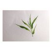 3329689759182-Clairefontaine Bamboo - Bloc encollé aquarelle - 20 feuilles - A5 - 250 gr-P_405158051_2-1