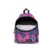 196246678452-EASTPAK Padded Pak'r - Sac à dos - 40 cm - Brize monster-P_405159544_2-5