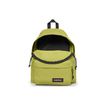 196246678407-EASTPAK Padded Pak'r - Sac à dos - 40 cm - Linked lime-P_405159553_2-5