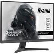 4948570121595-iiyama G-MASTER Black Hawk G2450HS-B1 - Ecran LED 24" - Full HD (1080p) - HDMI, DisplayPor-P_405160665_3-2