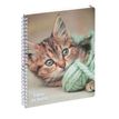 Cahier de textes à spirale Animaux - 17 x 22 cm - chaton - Exacompta