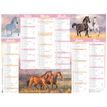 3664447165189-Calendrier Cheval - 6 mois par face - 21 x 26,5 cm - Oberthur-P_405161980_1-0