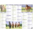 3664447165196-Calendrier Cheval - 6 mois par face - 32 x 42 cm - Oberthur-P_405161981_2-1