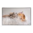3135251384108-Sous-main Animaux Chaton + Chiots - 59,5 x 36,2 cm - Assortis - Viquel-P_405165377_2-1